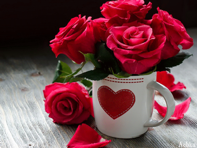 Чашка с красными розами