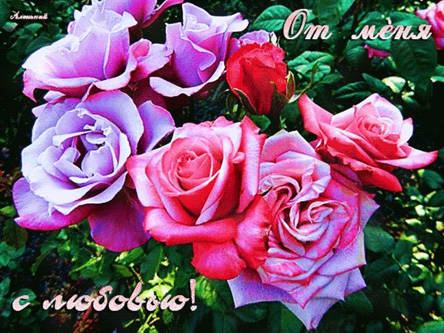 От меня с любовью ! Цветы розы