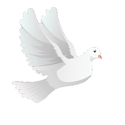 Белый голубь, машущий крыльями