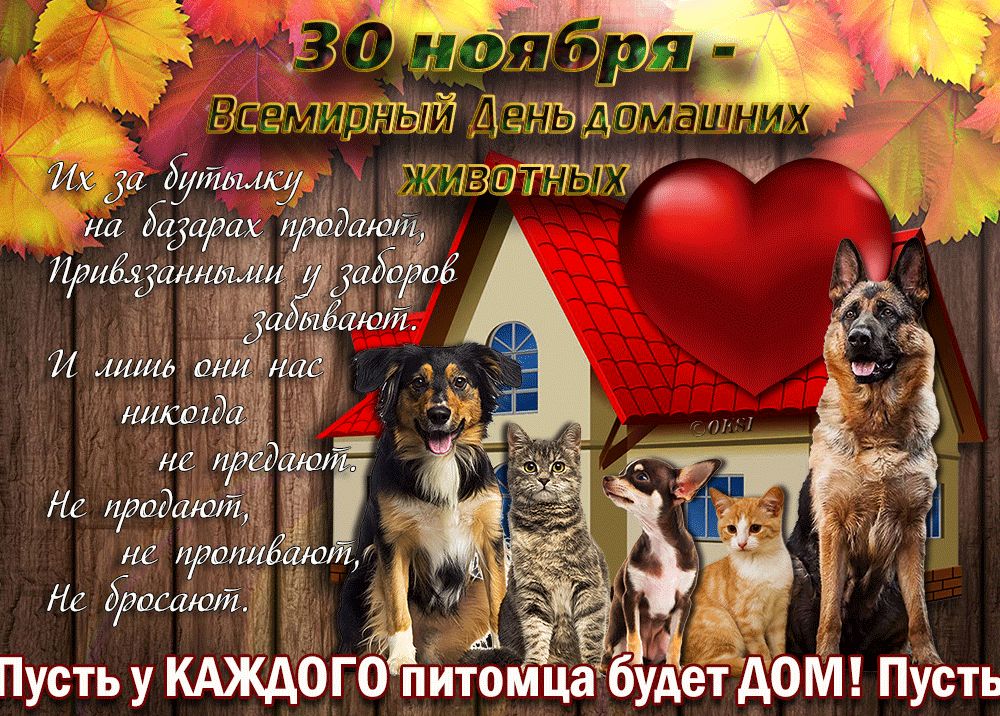 30 ноября - Всемирный День домашних животных