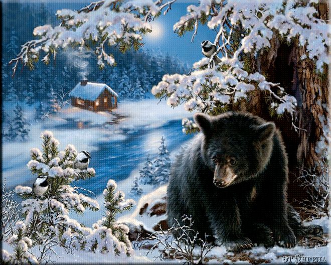 Зимний вечер, медведь