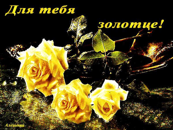 Для тебя золотце ! Желтые розы