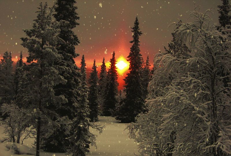 Зимний вечер, лес, закат