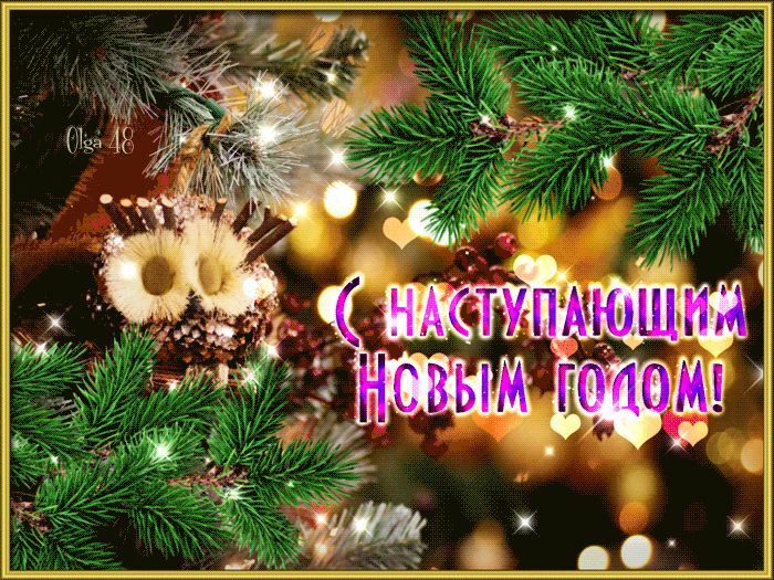 С наступающим Новым годом !