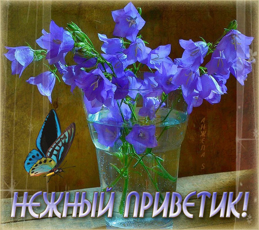 Нежный приветик !