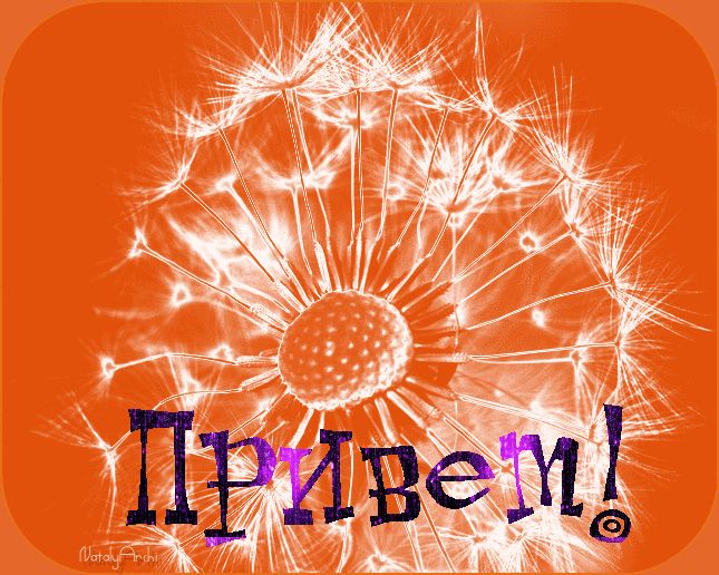 Поздравление Привет !
