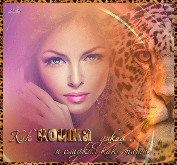 Как кошка дикая…