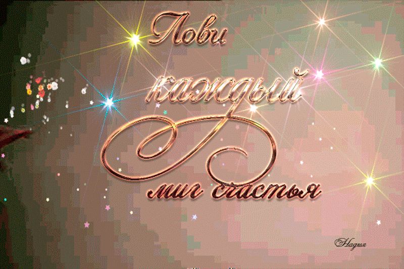 Лови каждый миг счастья !