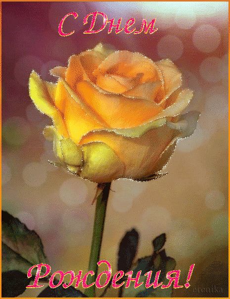 Желтая роза на День Рождения !