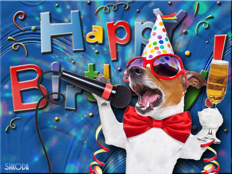 С ДНЕМ РОЖДЕНИЯ гиф – собака в колпаке