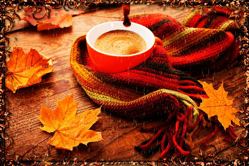 Кофейный привет