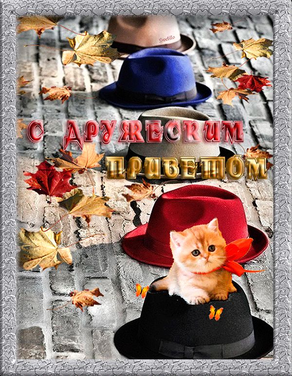 С дружеским приветом