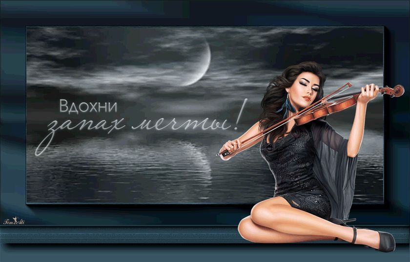 Девушка скрипачка