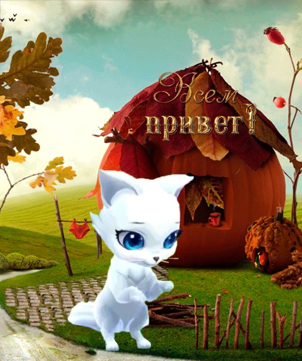 Всем ПРИВЕТ !