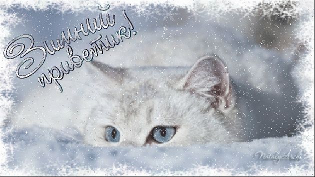 Зимний приветик !