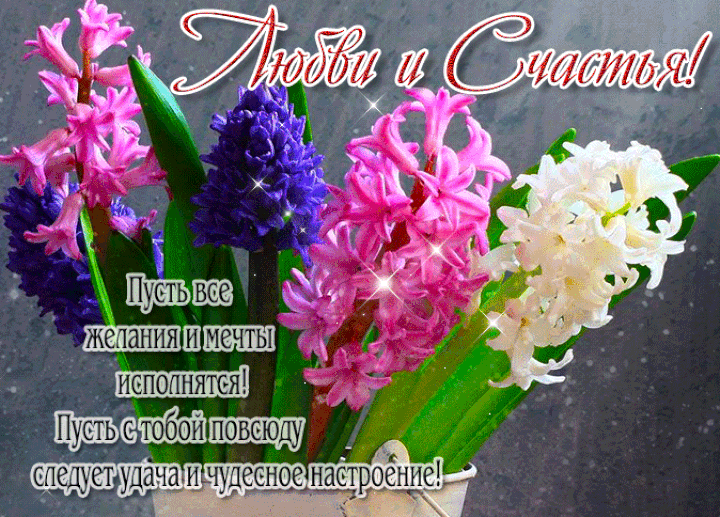 Любви и счастья !