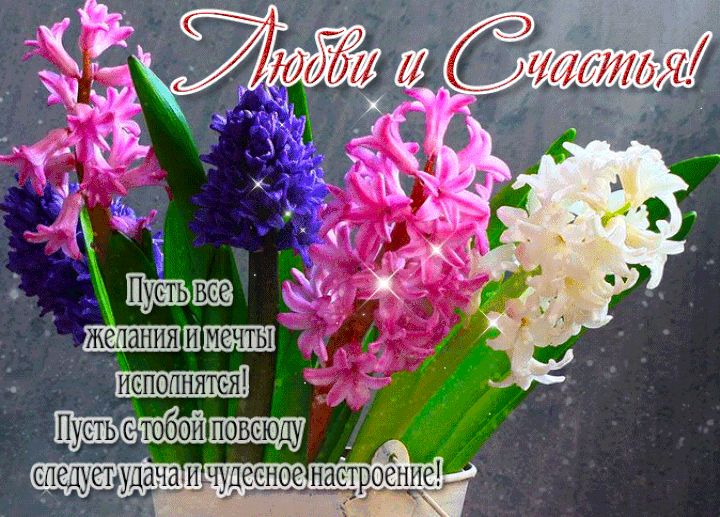 Любви и счастья !