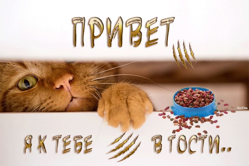 Привет. Я к тебе в гости…