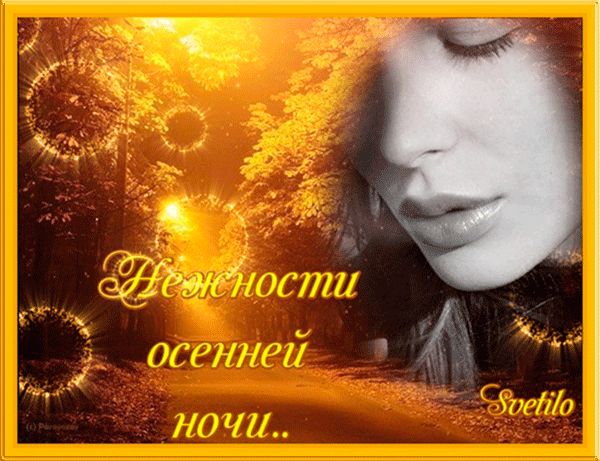 Нежности осенней ночи