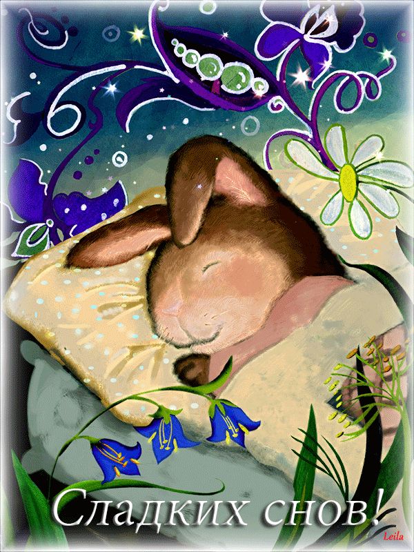 Анимация Сладких снов !