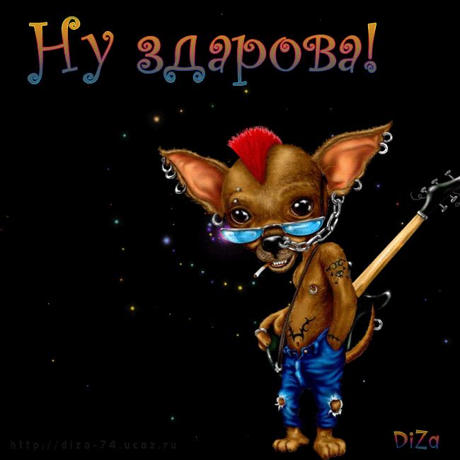 Ну здарова !