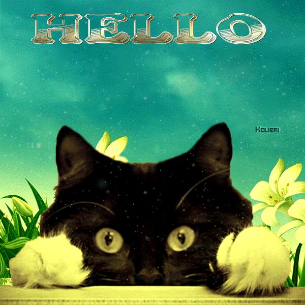 Картинки Hello