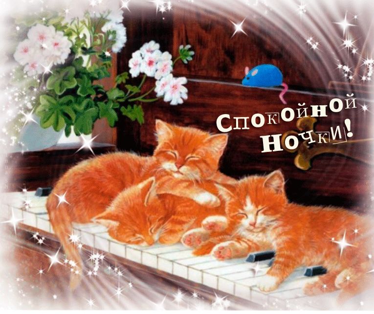 Спокойной ночки !