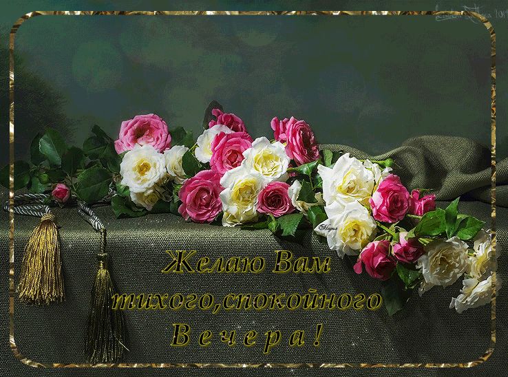 Желаю Вам тихого, спокойного вечера !