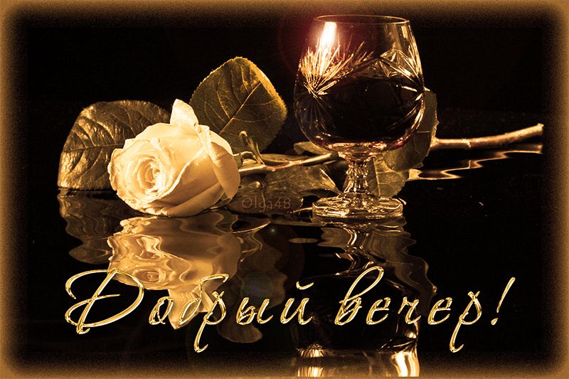 Добрый вечер ! Белая роза, бокал
