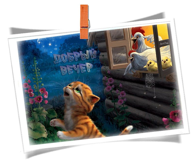 Добрый вечер !