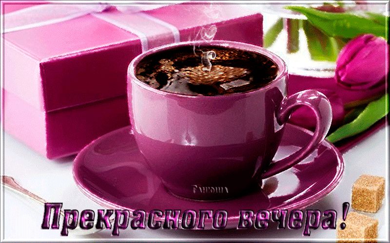 Прекрасного вечера !