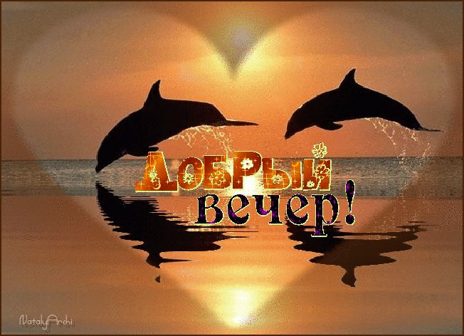 Добрый вечер ! Пара дельфинов