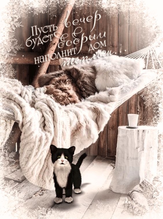 Пусть вечер будет добрым…