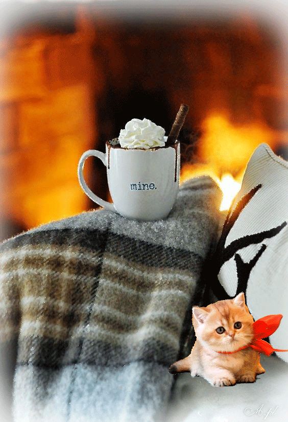 Добрый милый вечер !