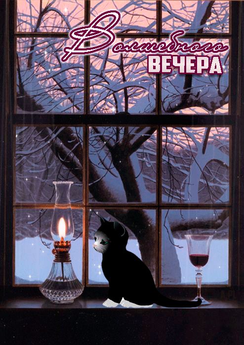 Волшебный вечер !