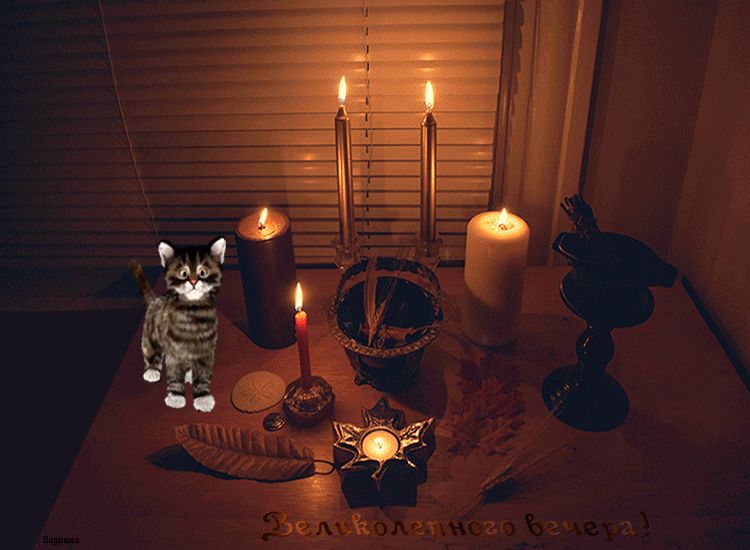 Великолепного вечера