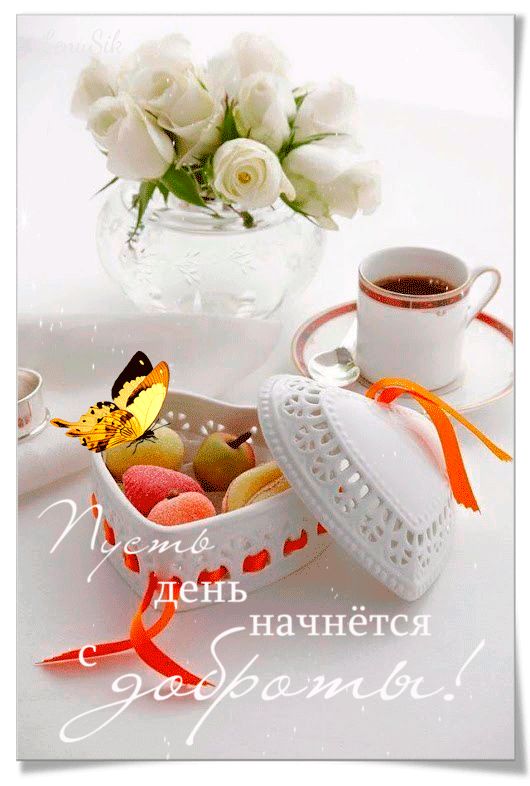 Пусть день начнется с красоты !