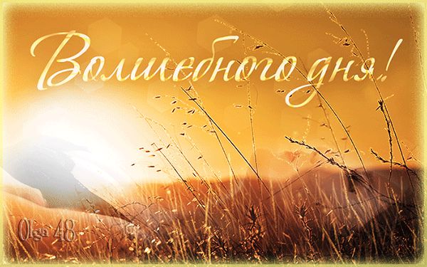 Волшебного дня