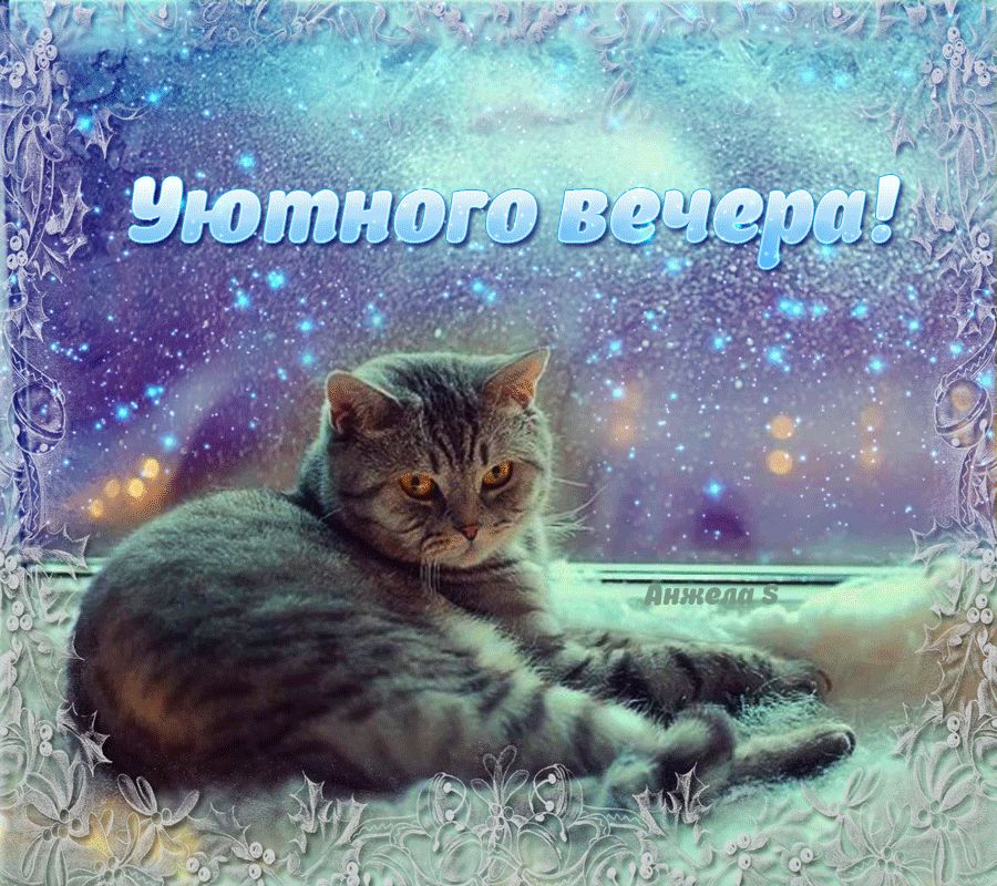 Гиф Уютного вечера !