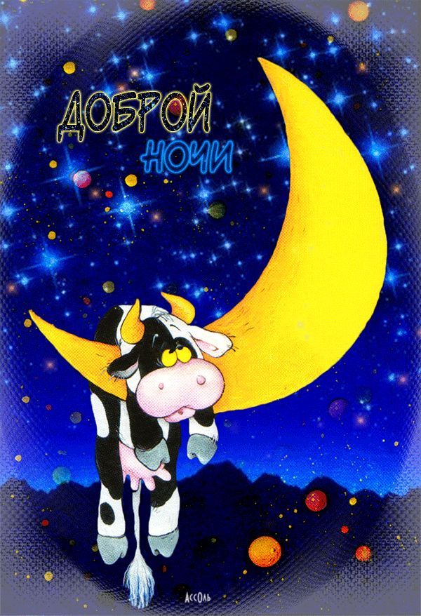 Прикольная картинка Доброй ночи