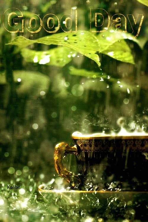 Хорошего дня !