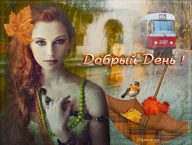 Добрый осенний день !
