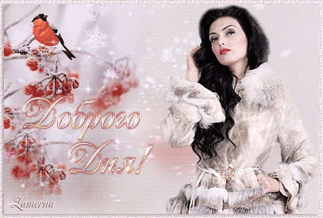 Доброго морозного дня !