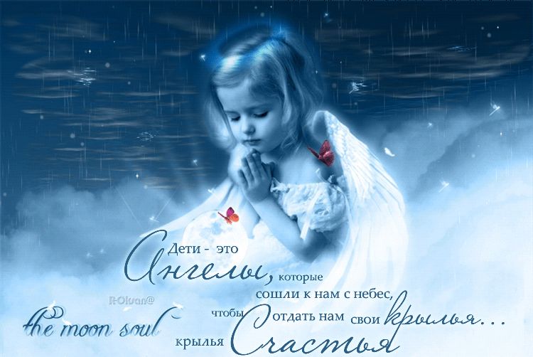 Дети – это ангелы !