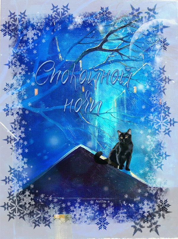 Спокойной ночи – Черная кошка