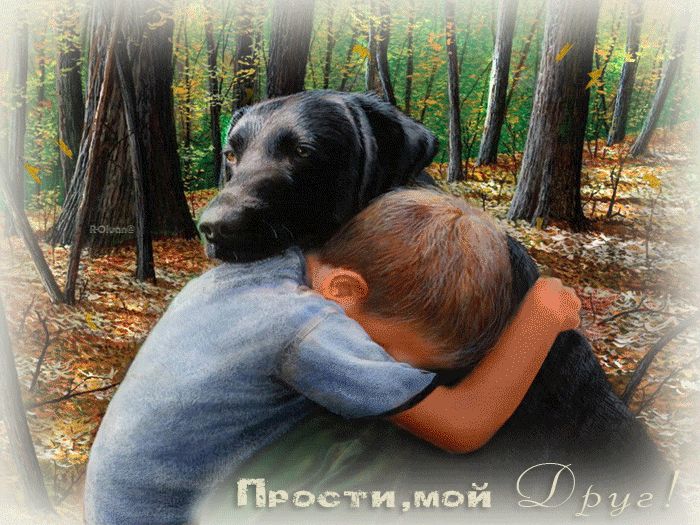 Прости,  друг !