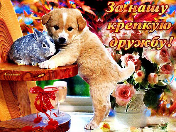 За нашу крепкую дружбу ! ! !