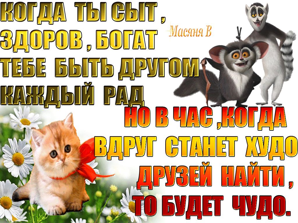 Фраза про друзей со смыслом