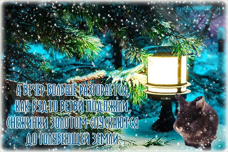 Зимний вечер…