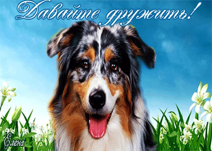 Давайте дружить !